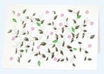 picture of Mini Greeting Cards
