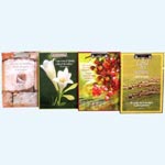 picture of Clipboards: Jerusalem, Lily, Grapes, Shepherd