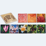 picture of Ceramic tiles