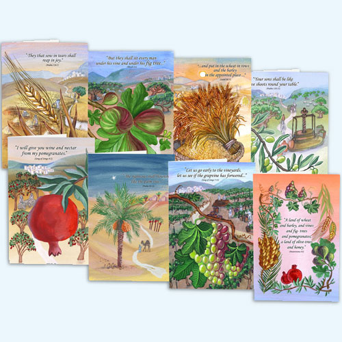 picture of The Seven Species of the Holy Land illustration