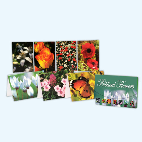picture of Biblical Flowers