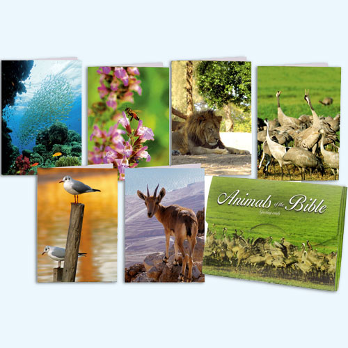 picture of Animals of the Bible