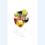 picture of Grapes and Wines