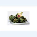 picture of Artichoke 