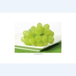 picture of Green Grapes